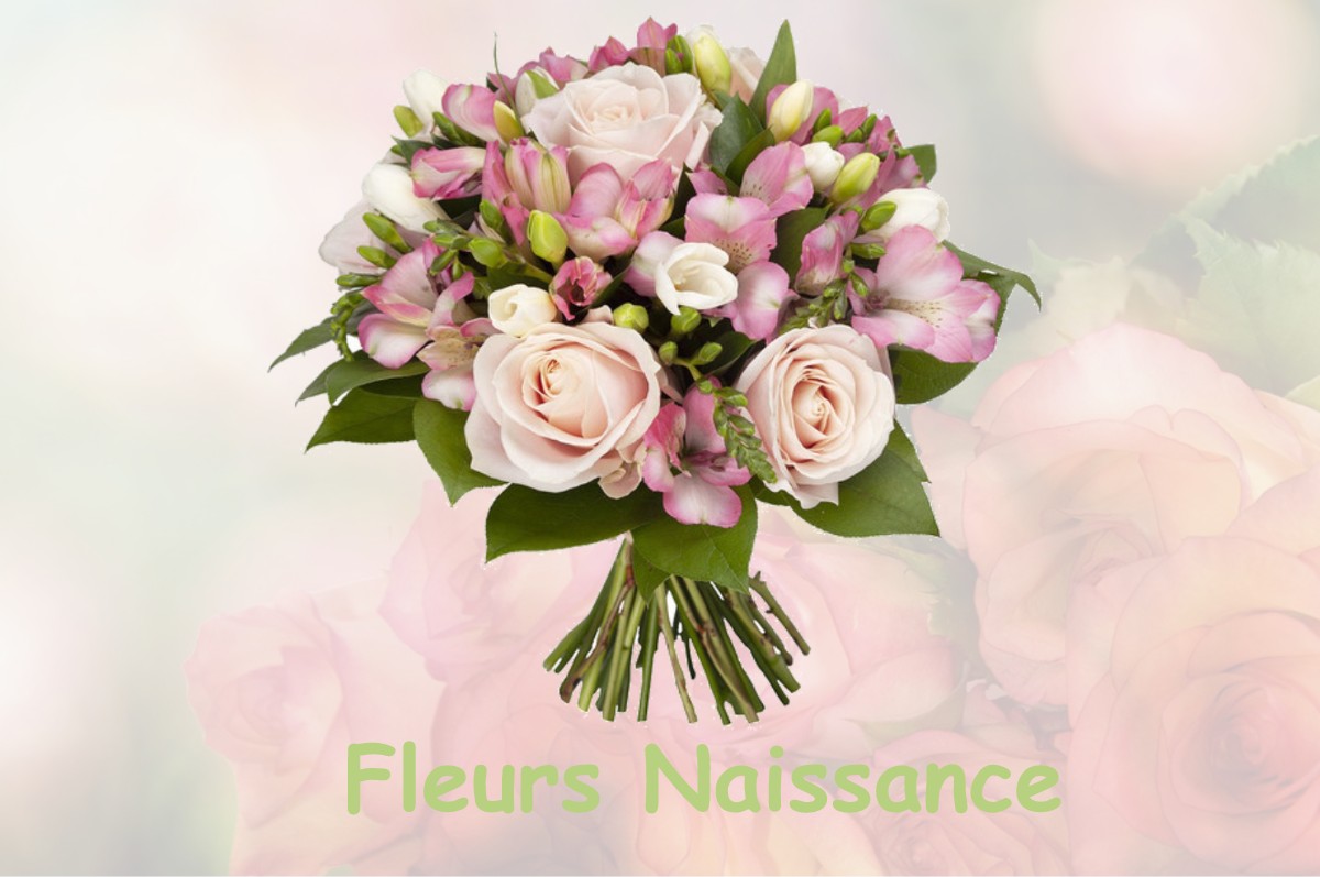 fleurs naissance CHAVILLE