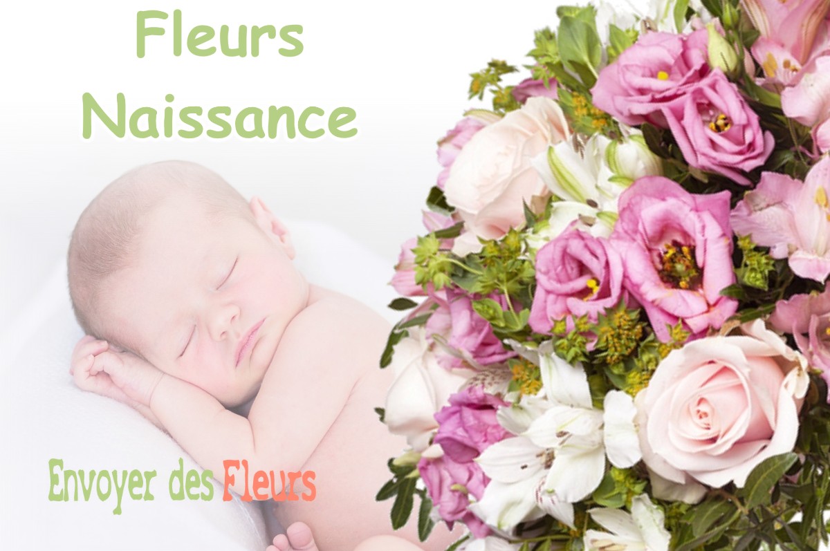 lIVRAISON FLEURS NAISSANCE à CHAVILLE